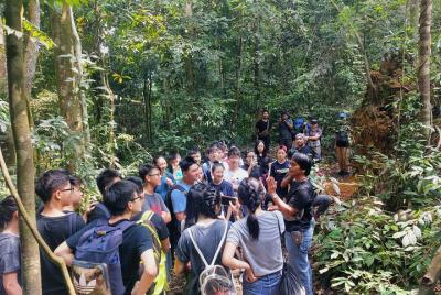 Day or Night Jungle Trekking with Sabarata, Bukit Lawang