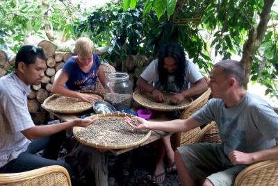 6 Customized Amazing Private Tours and Activities in Bali