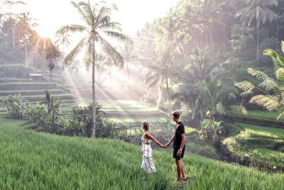 Ubud Harmonic Day Tour - FREE WIFI