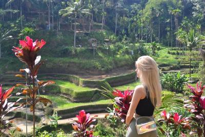 One Day Tour To Ubud With Private Car One Day Tour To Ubud With Private Car