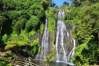 Private Tours : Banyumala Twin Waterfall, Handara Gate and Ulun D