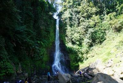 Package 2 Day Tours-Ubud Art Village-Barong Dance-Other Tourist Attractions Package 2 Day Tours-Ubud Art Village-Barong Dance-Other Tourist Attractions