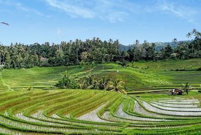 Multi 3 Days Full Day Tours-Tanah Lot Temple And Lempuyang The Gate Of Heaven Multi 3 Days Full Day Tours-Tanah Lot Temple And Lempuyang The Gate Of Heaven