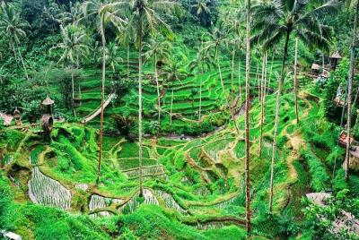 6 Days Enjoyable Combo Trips of Various Tourist Destinations 6 Days Enjoyable Combo Trips of Various Tourist Destinations