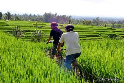 Enjoy One Day Culture Adventure With Salak Agro Nature Countryside Cycling Enjoy One Day Culture Adventure With Salak Agro Nature Countryside Cycling