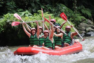Full-Day Tour: White Water Rafting and Ubud Monkey Forest