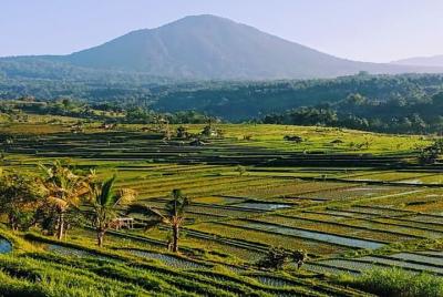 One day Tour Terrific Nungnung Waterfall-rice Terrace Jatiluwih UNESCO Site  One day Tour Terrific Nungnung Waterfall-rice Terrace Jatiluwih UNESCO Site