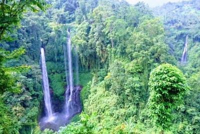 Private Tour Explore Marvelous Sekumpul Waterfall and Tanah Lot Temple  Private Tour Explore Marvelous Sekumpul Waterfall and Tanah Lot Temple