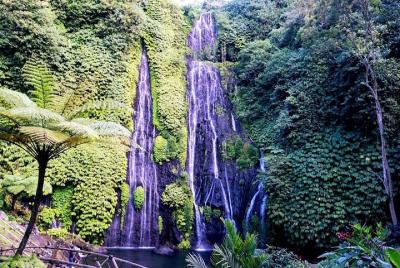 Private Full Day Trip Enjoy The Bayumala,Bali Private Full Day Trip Enjoy The Bayumala,Bali's Beautiful Waterfall!-Bedugul