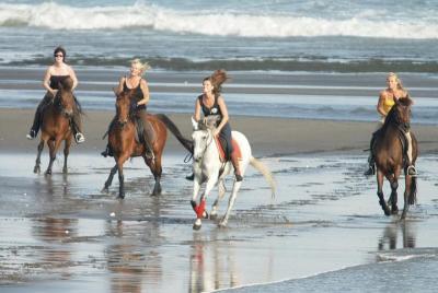 Hilarious Horse Riding At Black Sand Beach And The Two Places Amazing Waterfalls Hilarious Horse Riding At Black Sand Beach And The Two Places Amazing Waterfalls