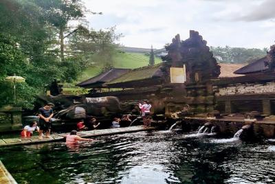 Amazing Private Full Day Tour-Tirta Empul Temple-Coffee Plantation-Batur Volcano Amazing Private Full Day Tour-Tirta Empul Temple-Coffee Plantation-Batur Volcano