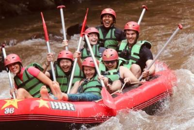 Jungle Swing and Bali Ubud Rafting with Lunch Transport Jungle Swing and Bali Ubud Rafting with Lunch Transport