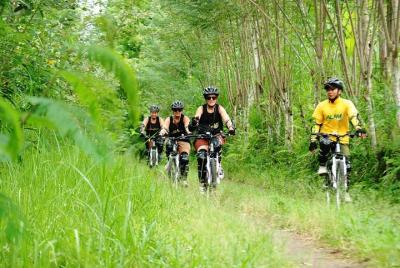 Bali Kintamani Cycling Tour with Transport Service