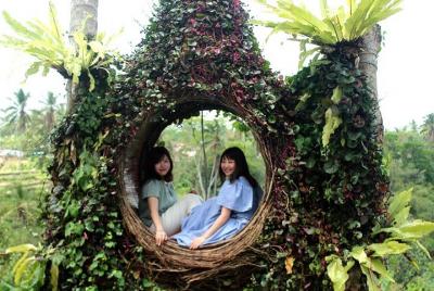 Ubud Day Trip and Tanah Lot Ubud Day Trip and Tanah Lot