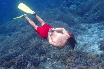 From Lembongan: Snorkeling Day Trip to Nusa Lembongan & nusa Peni From Lembongan: Snorkeling Day Trip to Nusa Lembongan & nusa Peni