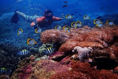 Day Trip From Nusa Lembongan with Snorkeling Day Trip From Nusa Lembongan with Snorkeling