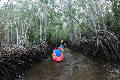 1 Hour Kayaking or Stand Up Paddle Adventure From Lembongan to The Mangrove 1 Hour Kayaking or Stand Up Paddle Adventure From Lembongan to The Mangrove