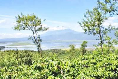 Semarang Full Day Car Charter with Guide