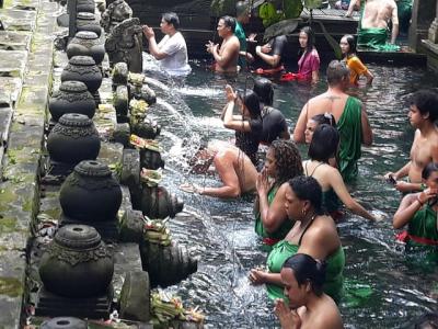 Ubud Traditional Tour Private Guided by Local - Free WiFi Ubud Traditional Tour Private Guided by Local - Free WiFi