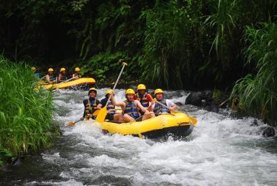Telaga Waja Rafting and Jimbaran Seafood Dinner Packages Telaga Waja Rafting and Jimbaran Seafood Dinner Packages