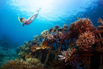 Blue Lagoon Snorkeling and Uluwatu Sunset Tour Blue Lagoon Snorkeling and Uluwatu Sunset Tour