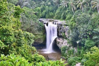 Private Bali Half Day Car Charter - Ubud Waterfall Tour Private Bali Half Day Car Charter - Ubud Waterfall Tour