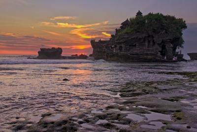 Full-Day Bali Car Charter to Visit Ubud and Tanah Lot Temple Full-Day Bali Car Charter to Visit Ubud and Tanah Lot Temple