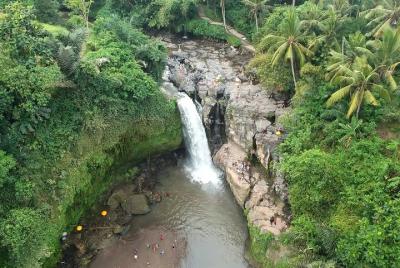 Full-Day Bali Car Charter to Visit The Best Places in Ubud Full-Day Bali Car Charter to Visit The Best Places in Ubud