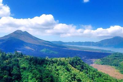 Full-Day Bali Car Charter to Exploring Tour in Ubud and Kintamani Full-Day Bali Car Charter to Exploring Tour in Ubud and Kintamani