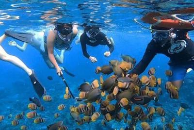 Nusa Penida One Day Tour with Snorkeling  Nusa Penida One Day Tour with Snorkeling