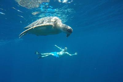 Gili Island Excursions 2D1N From Bali Gili Island Excursions 2D1N From Bali