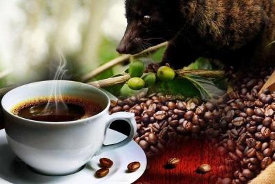 Bali Package Tour: 3 Days & 2 Night Bali Package Tour: 3 Days & 2 Night