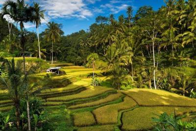 Exploring Bali in 3 Days: Discover Top Places in Bali Exploring Bali in 3 Days: Discover Top Places in Bali