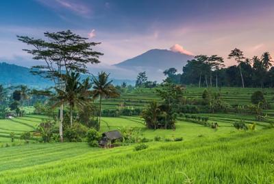 Bali Tour Package 4 Days 3 Nights Bali Tour Package 4 Days 3 Nights