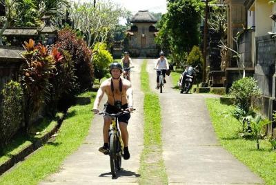 Best Taro - Ubud Bali Bicycle Tours Best Taro - Ubud Bali Bicycle Tours