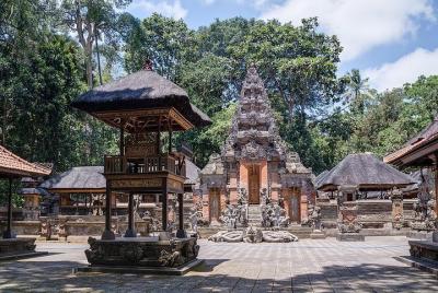 Private Bali Half Day Car Charter - Ubud Village Tour