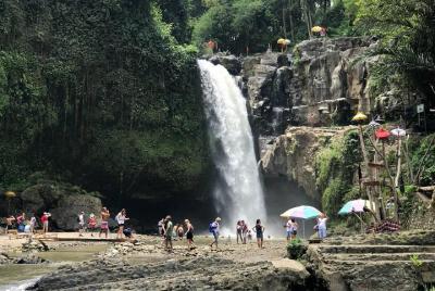 Bali Car Charter - Half Day Ubud Waterfall Tour