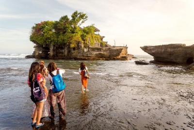 Bali Car Charter - Half Day Tanah Lot Sunset Tour Bali Car Charter - Half Day Tanah Lot Sunset Tour