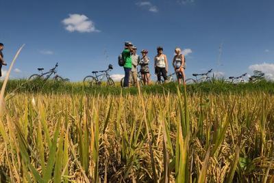 Explore Ubud with Electric Bike Explore Ubud with Electric Bike