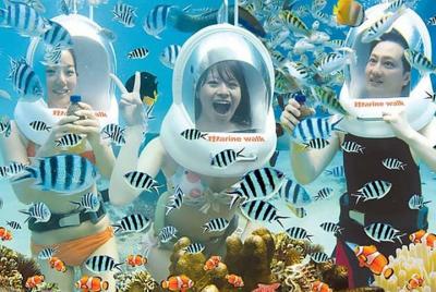 Sea Walking Bali included Hotel Transfer Sea Walking Bali included Hotel Transfer