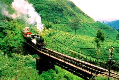 Train Tickets from Ella to Nanu oya 