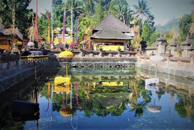 Full Day Private Tour - Great Ubud Experience