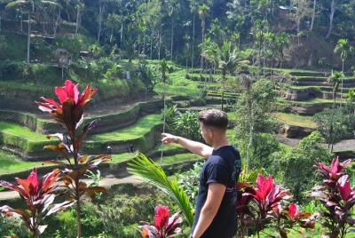 Ubud Half Day - Customize Your Trip Ubud Half Day - Customize Your Trip