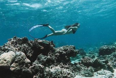 All Inclusive Snorkeling at Blue Lagoon with Lunch  All Inclusive Snorkeling at Blue Lagoon with Lunch