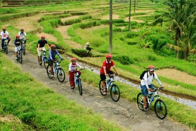 Jatiluwih Rice Paddy Cycling Jatiluwih Rice Paddy Cycling