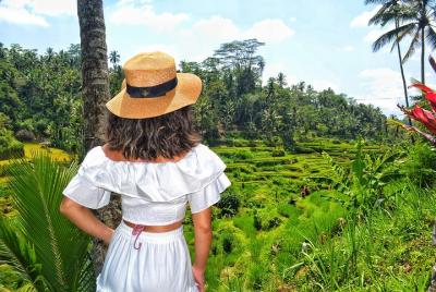 Ubud Day Tours & The Best Attraction Ubud Day Tours & The Best Attraction