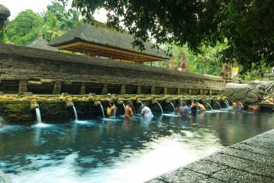 Monkey Forest, Holy Water Temple & Hot Springs Monkey Forest, Holy Water Temple & Hot Springs