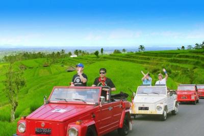 Bali Swing - Coffee Plantation - Waterfall - Ulun Danu Batur using VW Safari Car Bali Swing - Coffee Plantation - Waterfall - Ulun Danu Batur using VW Safari Car