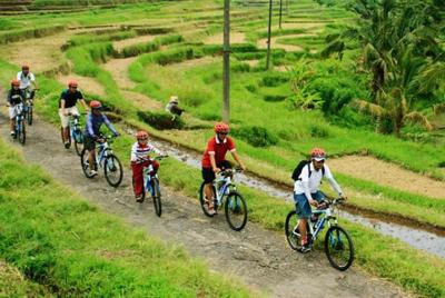 Bali Cycling and Spa Experience Bali Cycling and Spa Experience
