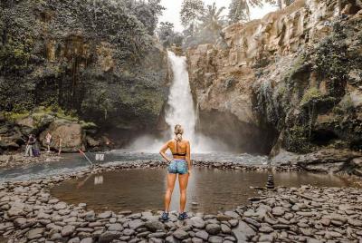 Bali Car Charter - Ubud Full Day Tour Bali Car Charter - Ubud Full Day Tour